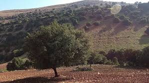 منطقة وادي الحور