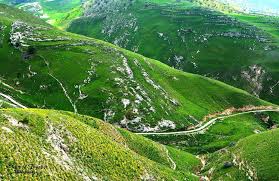 منطقة وادي الحور