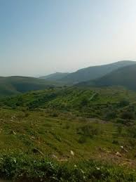 منطقة اليزيدية