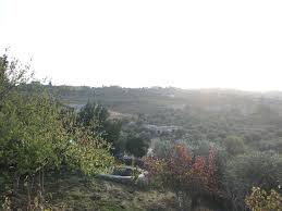 منطقة ام جوزة